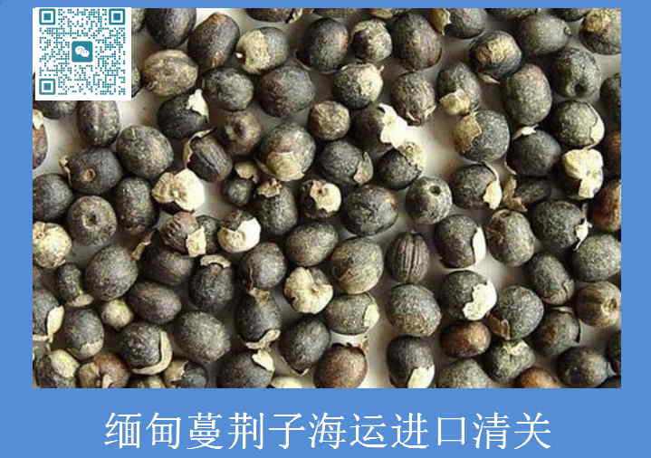 緬甸蔓荊子海運進口清關.jpg