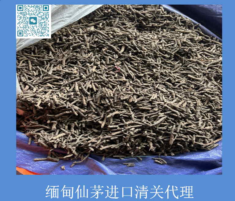 緬甸仙茅進口清關.jpg