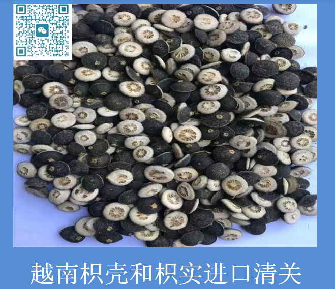 越南枳殼和枳實進口清關.jpg