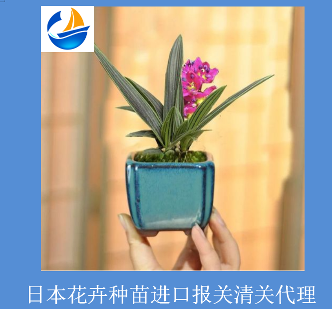 日本花卉種苗進(jìn)口清關(guān)1.png