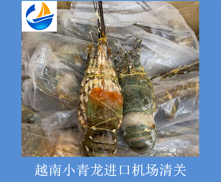 越南小青龍進口機場清關.png