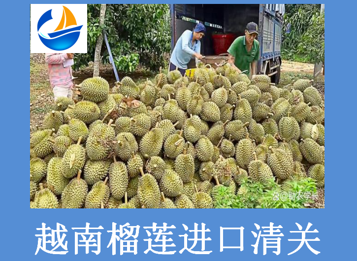 越南榴蓮進(jìn)口清關(guān).png