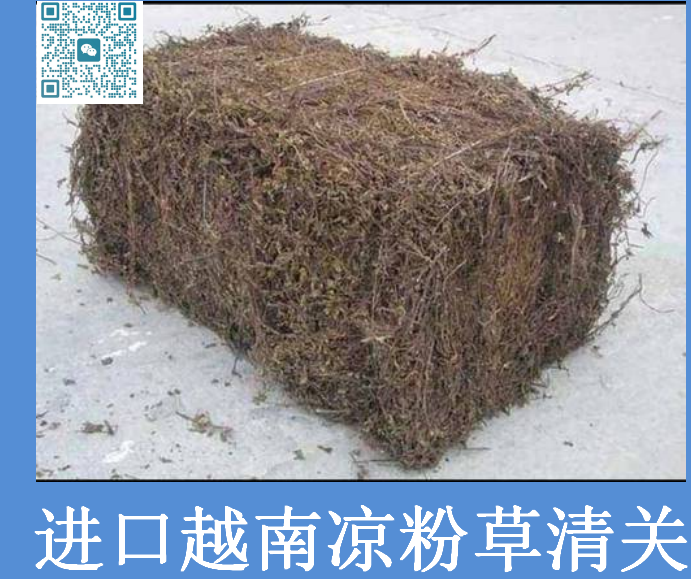越南涼粉草清關.png