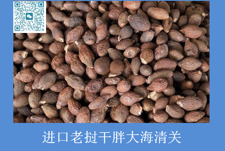 老撾胖大海進(jìn)口清關(guān).png