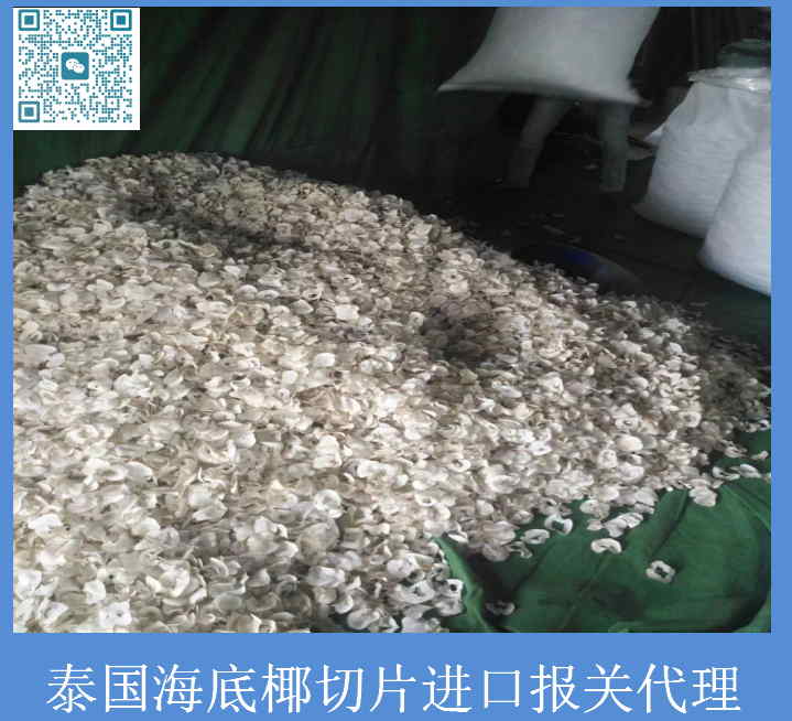 泰國海底椰片清關(guān).jpg