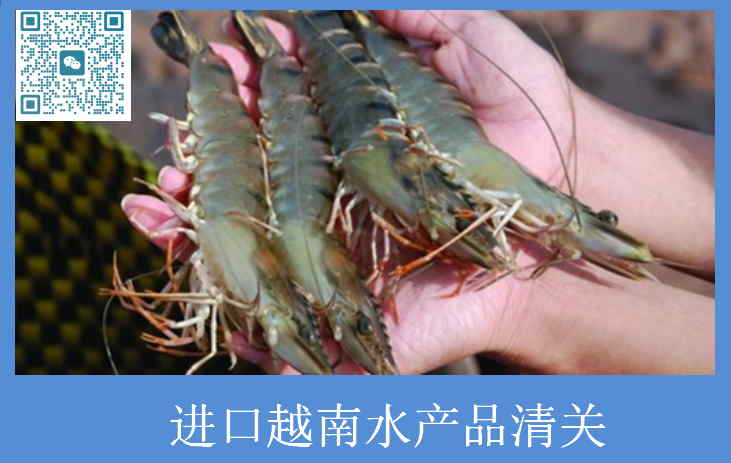 進口越南水產品清關.jpg