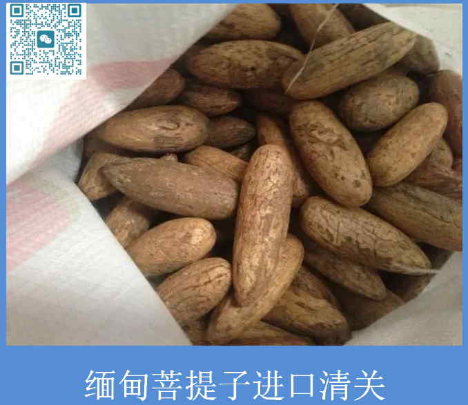 緬甸菩提子進口清關.jpg