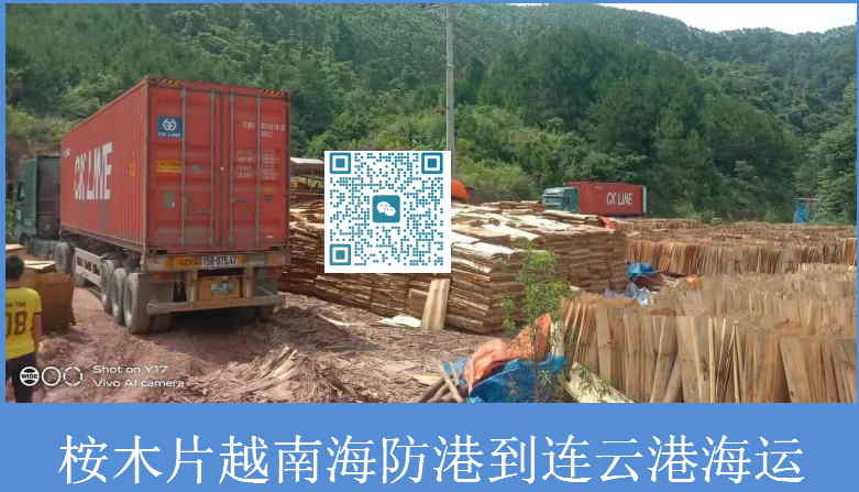 桉木片進口清關.jpg