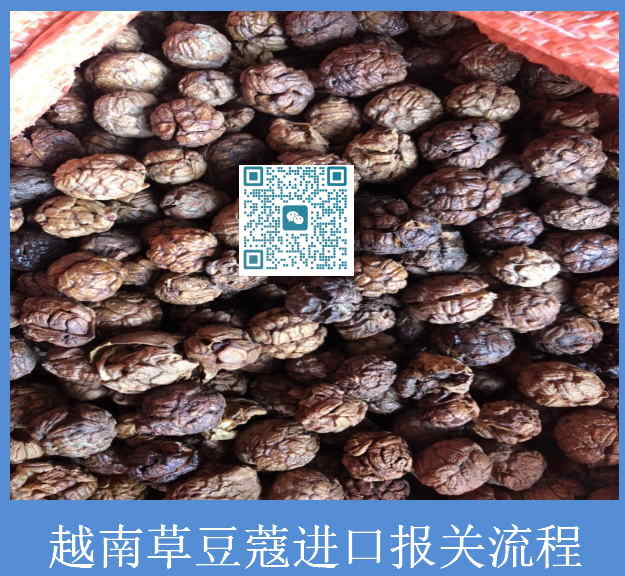 越南草豆蔻進(jìn)口報關(guān).jpg