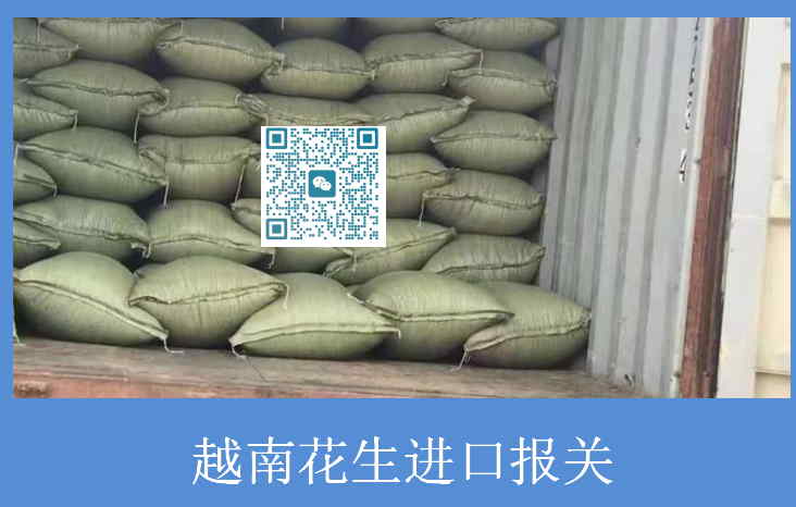 越南花生進(jìn)口報(bào)關(guān).jpg