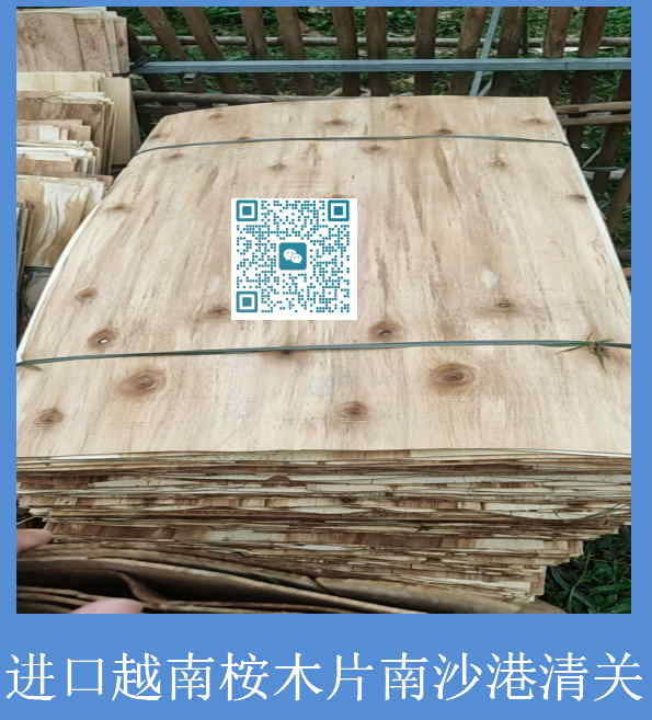 越南桉木片南沙港清關(guān).jpg