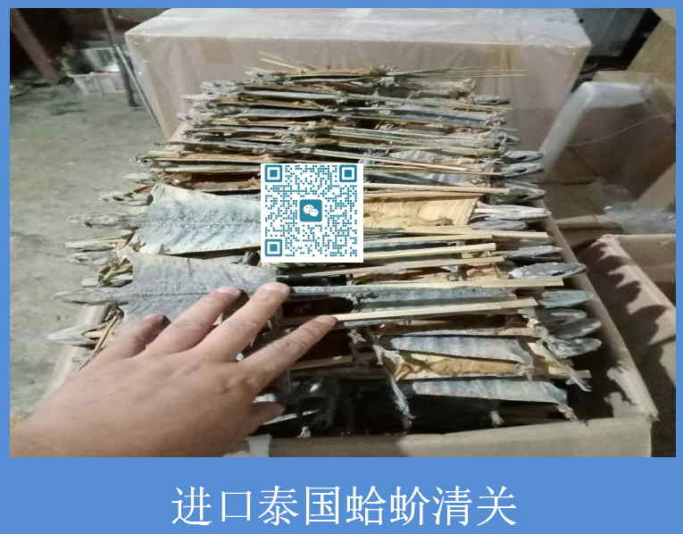 進(jìn)口泰國(guó)蛤蚧清關(guān).jpg