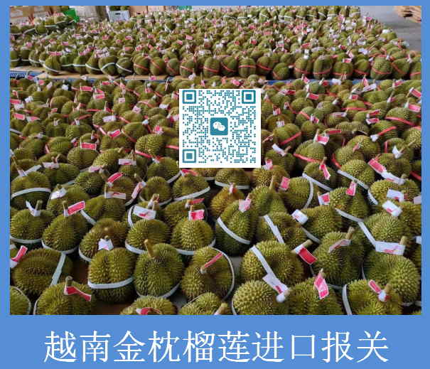 越南金枕榴蓮進(jìn)口報(bào)關(guān).jpg