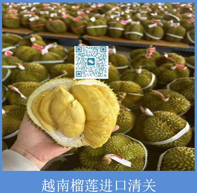 越南榴蓮進(jìn)口清關(guān)A.jpg