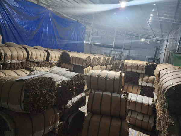 越南粽葉進口清關.jpg