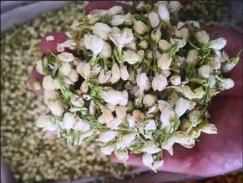 干茉莉花進口清關.jpg